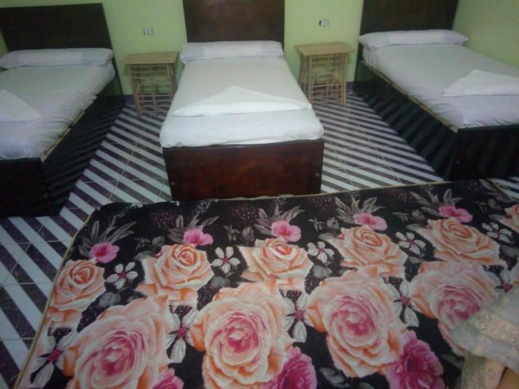 بيت شمس Aswan Eksteriør billede