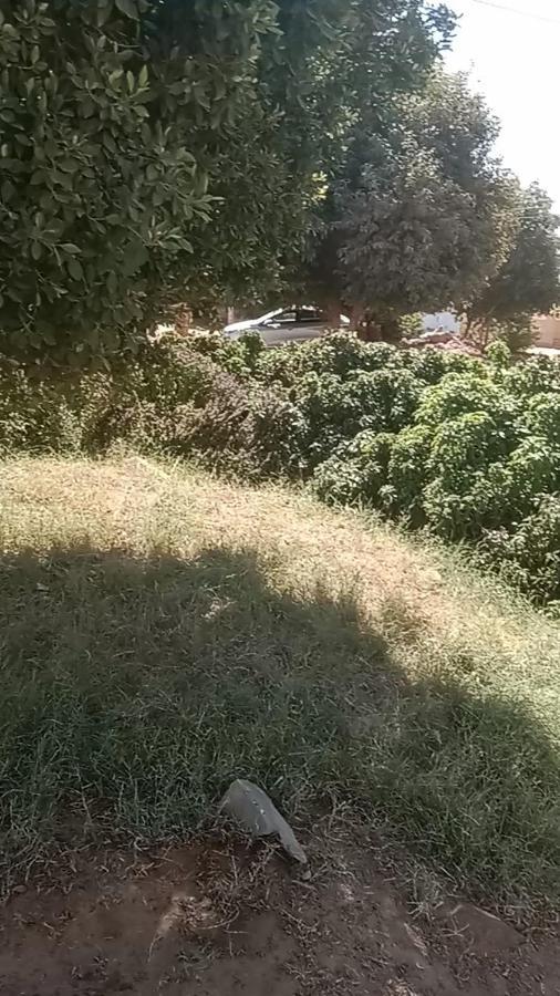 بيت شمس Aswan Eksteriør billede
